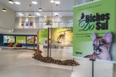 Exposição Bichos do Sul, São João Batista, Santa Catarina - foto de Ze Paiva - Vista Imagens